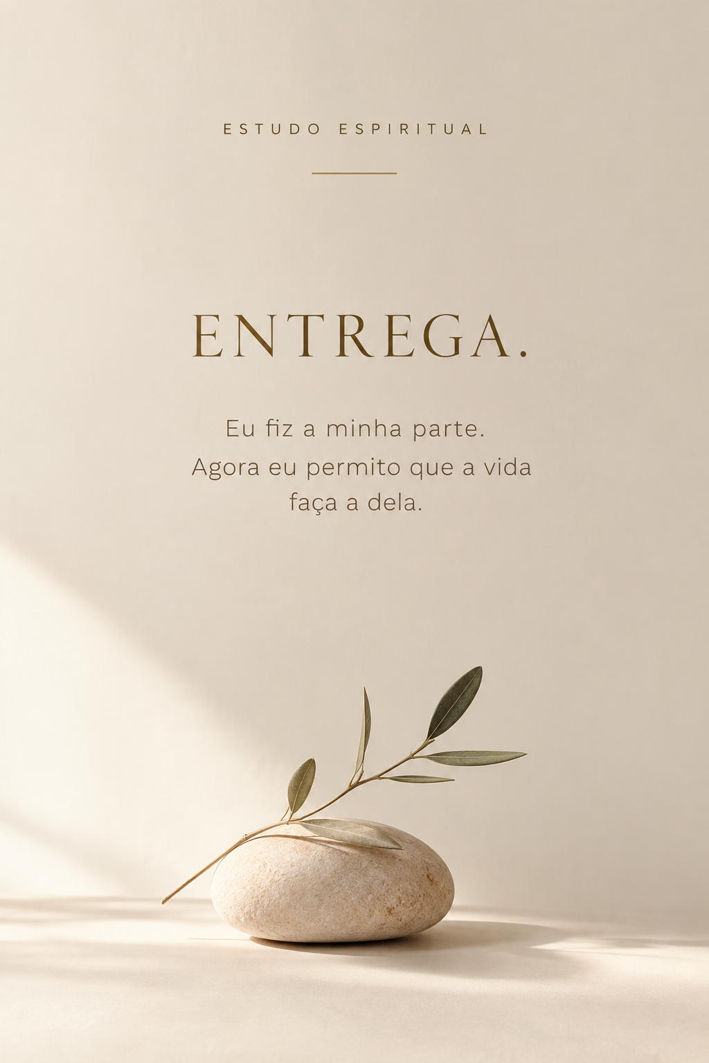 Texto em fundo claro: "ENTREGA. Eu fiz a minha parte. Agora eu permito que a vida faça a dela." Uma pedra e um galho com folhas estão visíveis.